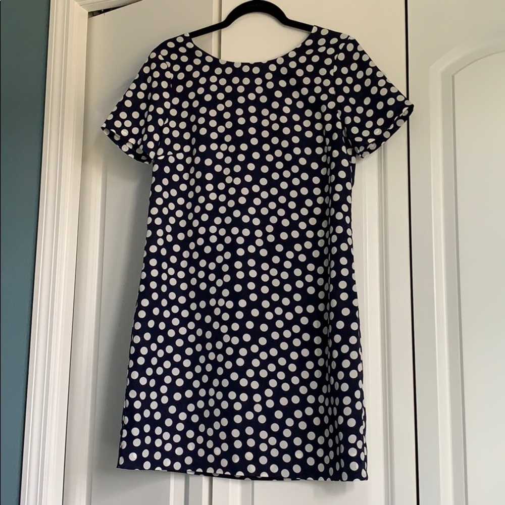J Crew polka dot dress